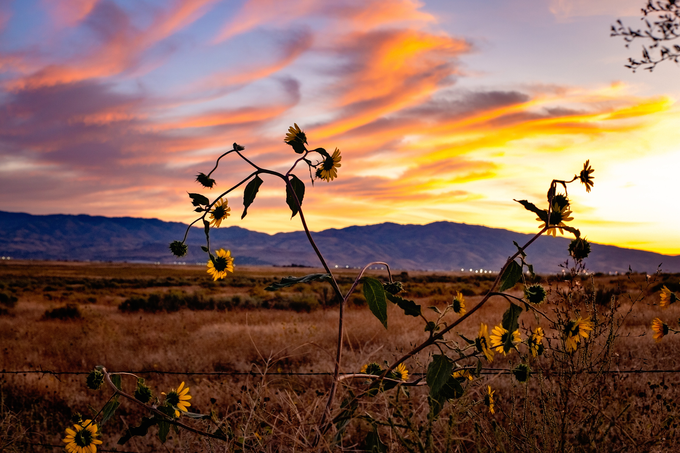 Idaho Sunset